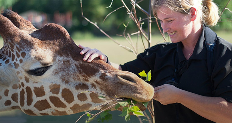 Výlet do zoologické zahrady ve Dvoře Královém